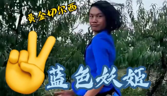 藍色妖姬代表什么意思？藍色妖姬的花語是什么意思